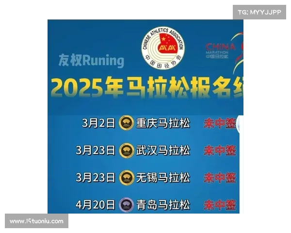 目前有什么赛事